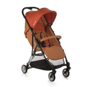 Cadeira Passeio Fancy Be Cool - Earth